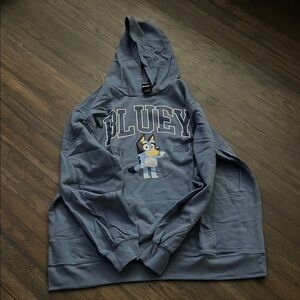 Bluey Graphic Hooded Sweatshirt - Blue Pullover Hoodie